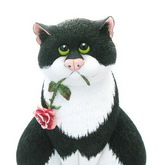 ��� c ������� 15 �� - �omic Cats