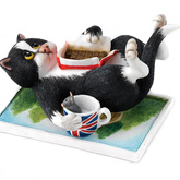 ������� 6 �� - �omic Cats