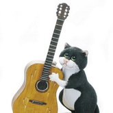 ��� ���� 18 �� - �omic Cats