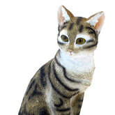 ��� ����, ������� 12��