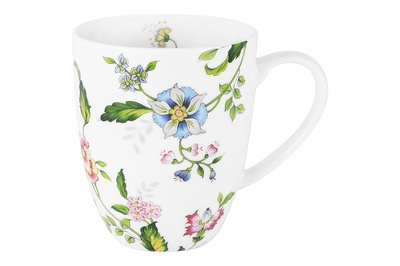 ������ Provence ��� ���.��������