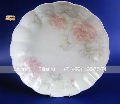� 1007000 �������� ����� �/������� 30,5��