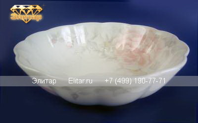 � 1007000 �������� �������� 16,5��