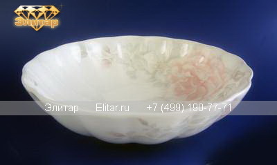 � 1007000 �������� �������� 23,5��