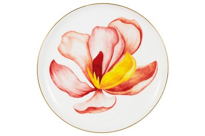 ������� ���������� Magnolia, 19 ��