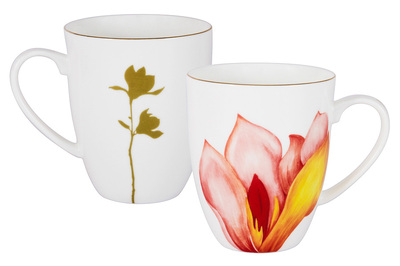 ������ Magnolia, 0,4 �