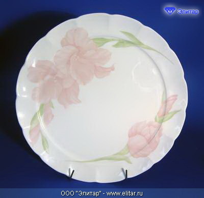 � 1070011 ���� ���� ����� ������� 32�� (���.�����)